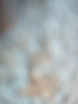 talytah online show from 02/19/26, 09:27