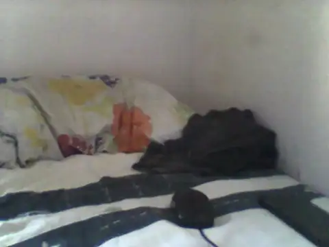 handsomeguy02 online show from 04/14/26, 02:45