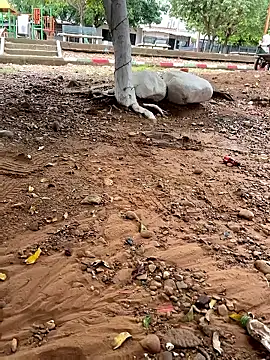 lunarous98 online show from 01/13/26, 05:18