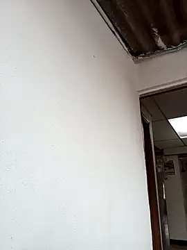 torvyHot online show from 04/15/26, 08:09