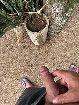 Snapshot of dogfrota chatting on 01/11/26, 07:30 dogfrota online show from 01/11/26, 07:30