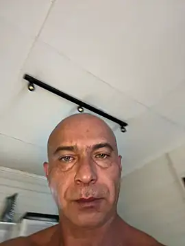 dogfrota online show from 03/08/26, 05:39