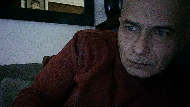 dogfrota online show from 06/14/26, 08:22