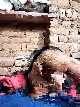 Snapshot of Hot_di97 chatting on 02/14/26, 08:38 Hot di97 online show from 02/14/26, 08:38