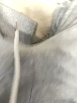 Bebun online show from 01/17/26, 03:00