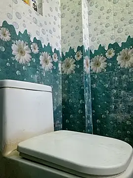 Snapshot of vaanavil chatting on 10/22/25, 12:05 vaanavil online show from 10/22/25, 12:05