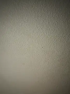 zumma00 online show from 01/17/26, 11:37