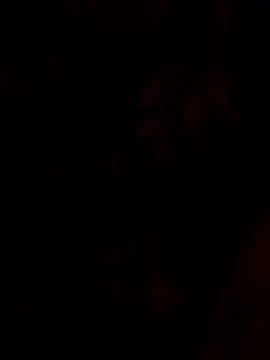 tropicalpied online show from 01/16/26, 04:38