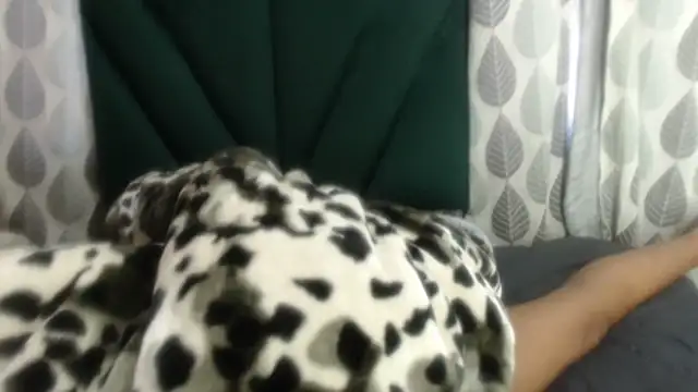 Nellybba online show from 03/27/26, 05:46