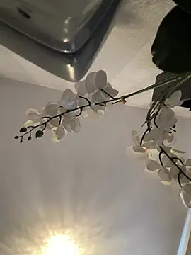 Princess-ivyxoxo online show from 07/20/26, 11:34