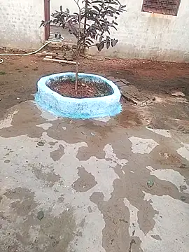 Snapshot of CUTE_khusabi chatting on 01/18/26, 06:28 CUTE khusabi online show from 01/18/26, 06:28