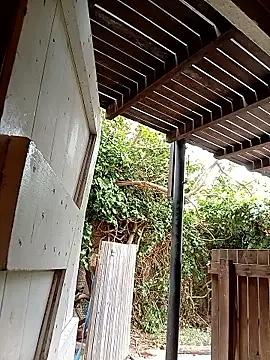 Snapshot of dicklife3485 chatting on 02/24/26, 08:23 dicklife3485 online show from 02/24/26, 08:23