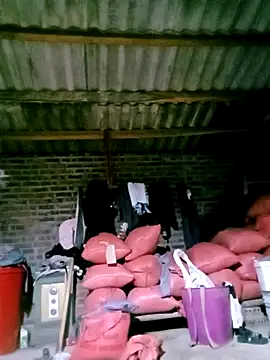 Diana-02 online show from 04/04/26, 11:51