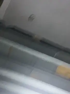 MorenaCariok online show from 04/15/26, 09:15