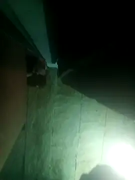 Snapshot of priyasharma899 chatting on 03/13/26, 12:06 priyasharma899 online show from 03/13/26, 12:06