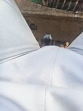 Hot BoyDick-Telugu online show from 01/15/26, 07:57