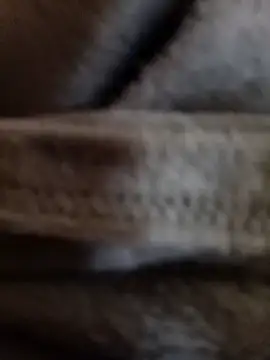 Daisy91 online show from 01/14/26, 03:06