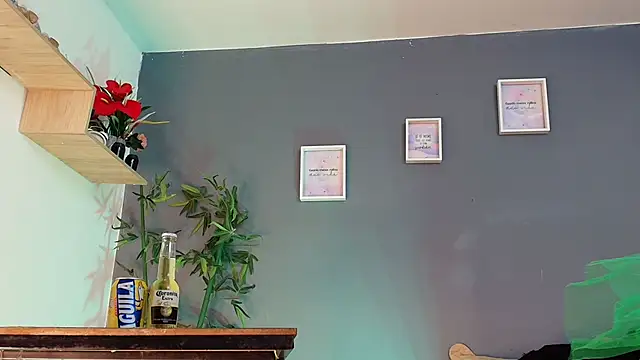 sofia laverde online show from 03/17/26, 07:06