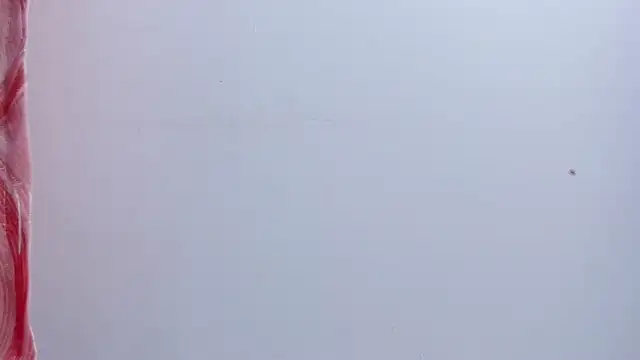 lovely  kiss   online show from 07/21/26, 06:21