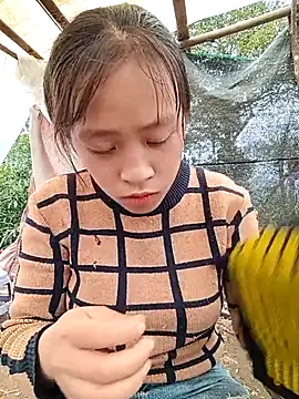 Hari-saka online show from 02/24/26, 03:04