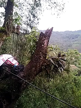 lia-coy online show from 04/19/26, 12:43