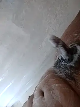 daringprince online show from 01/17/26, 06:22