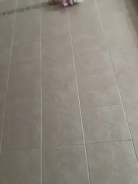 joy1334 online show from 02/09/26, 11:03