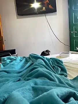 Cofla21cmm online show from 01/17/26, 02:33