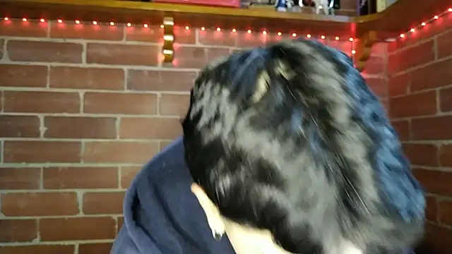 PaulDamico online show from 02/02/26, 12:15