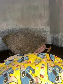 Snapshot of Iam_AlexandraRey chatting on 02/15/26, 07:51 Iam AlexandraRey online show from 02/15/26, 07:51