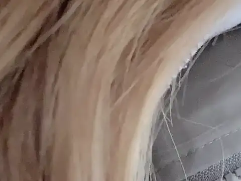 dingding-520 online show from 03/04/26, 01:06