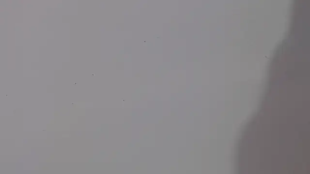 adara cute 69 online show from 02/05/26, 06:12