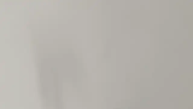 Ashley Ebony   online show from 02/07/26, 01:04