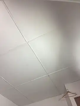 vanilla Kush online show from 03/11/26, 08:09