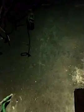 Hoa-tuylip online show from 02/13/26, 01:29