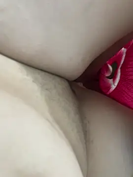 teubrinquedinho online show from 02/24/26, 06:00