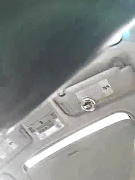 Sunflower0025 online show from 01/31/26, 07:11