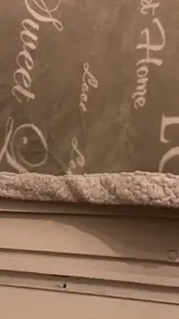 BadyAndShay5 online show from 03/22/26, 10:46