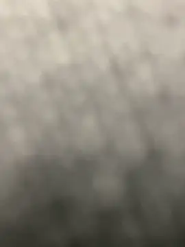 pizza pa online show from 03/31/26, 01:55