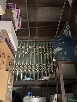 YANINA120 online show from 03/01/26, 10:50