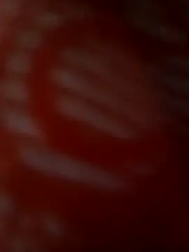 Snapshot of ROMASARKAR chatting on 03/21/26, 12:10 ROMASARKAR online show from 03/21/26, 12:10