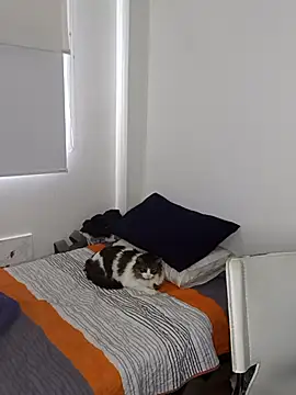 Nikolth 4 online show from 02/04/26, 03:18