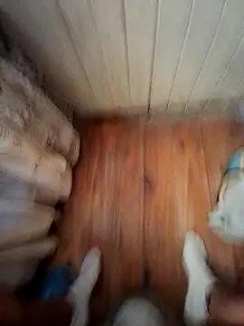 Snapshot of Franco10_- chatting on 02/15/26, 09:11 Franco10 - online show from 02/15/26, 09:11