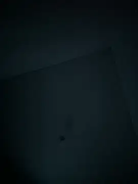 Snapshot of dominick_fran chatting on 02/11/26, 11:10 dominick fran online show from 02/11/26, 11:10