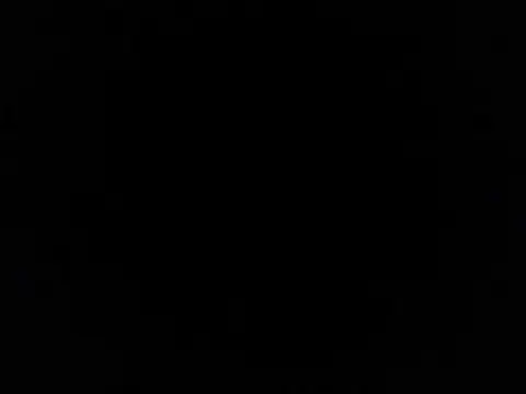 plTop40 online show from 03/11/26, 09:54