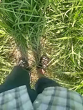 Snapshot of Cute_Boy_4 chatting on 02/22/26, 05:30 Cute Boy 4 online show from 02/22/26, 05:30