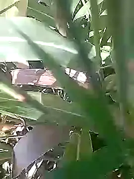 Snapshot of Cute_Boy_4 chatting on 03/01/26, 05:09 Cute Boy 4 online show from 03/01/26, 05:09