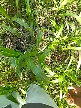 Cute Boy 4 online show from 04/13/26, 03:34