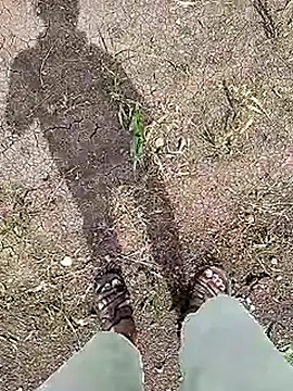 Cute Boy 4 online show from 06/05/26, 04:41