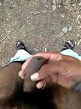 Cute Boy 4 online show from 06/05/26, 08:09